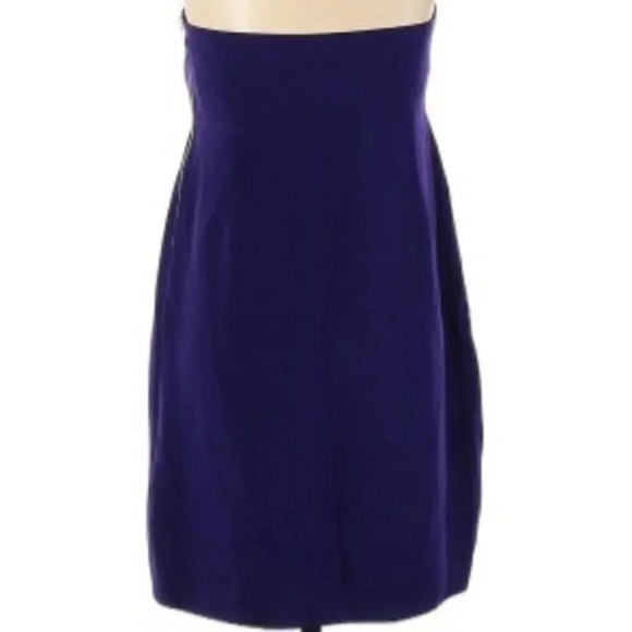 Jenni Kayne Strapless Mini Dress 100% Silk Purple Side Zip Size 4 - Picture 2 of 10